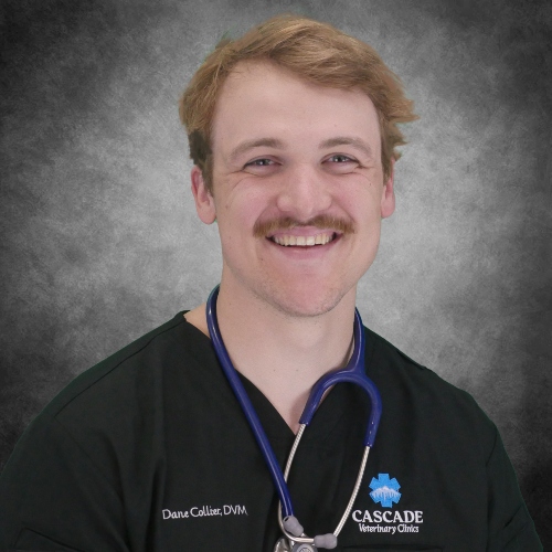 Dr. Dane Collier