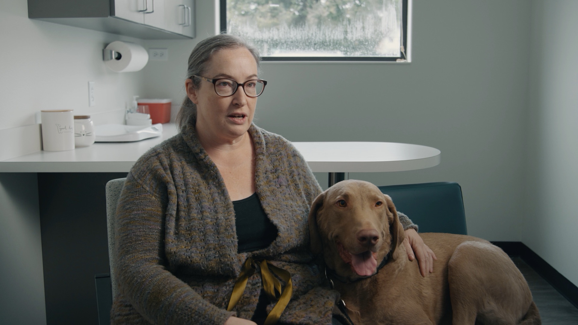 A tan dog sits calmly beside an owner whose hand rests on the dog's shoulder.