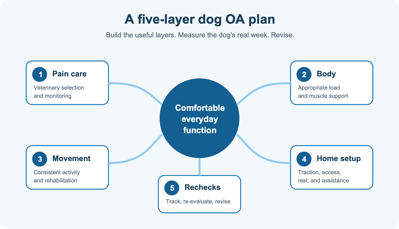 Five-layer dog osteoarthritis plan: pain care, body condition, movement, home setup, and rechecks surround the goal of comfortable everyday function.