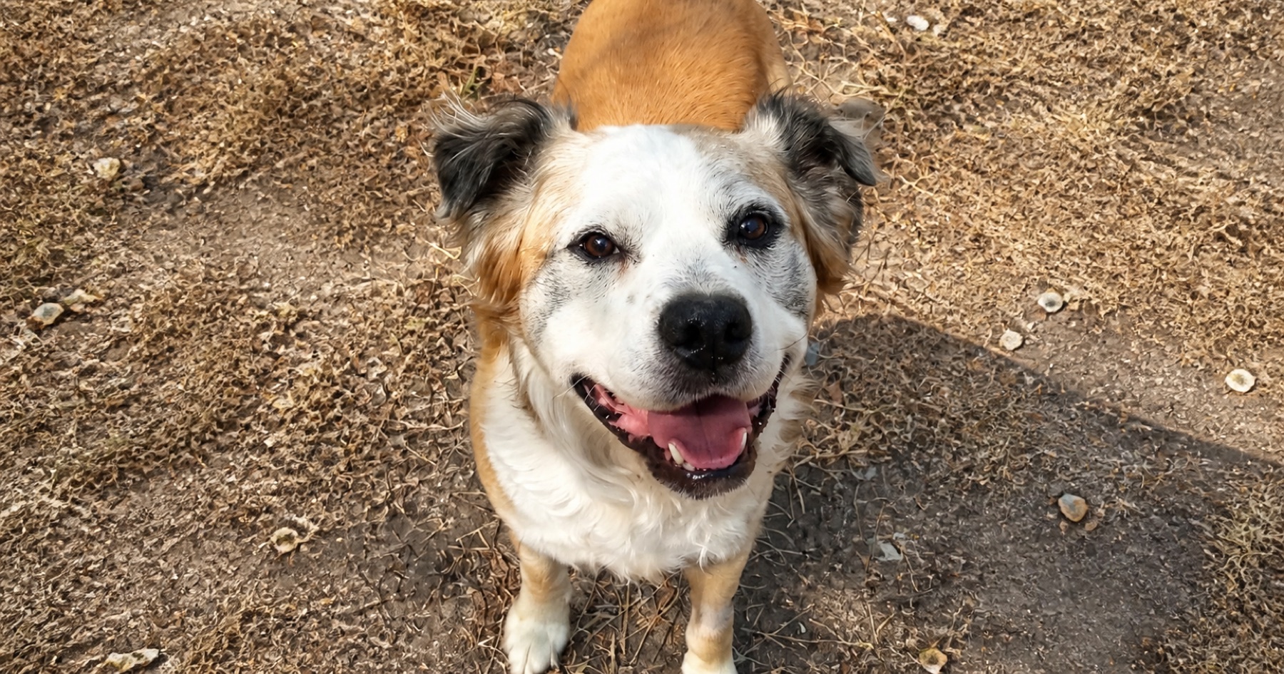 Tako smiling outdoors after recovering from fish-hook removal.