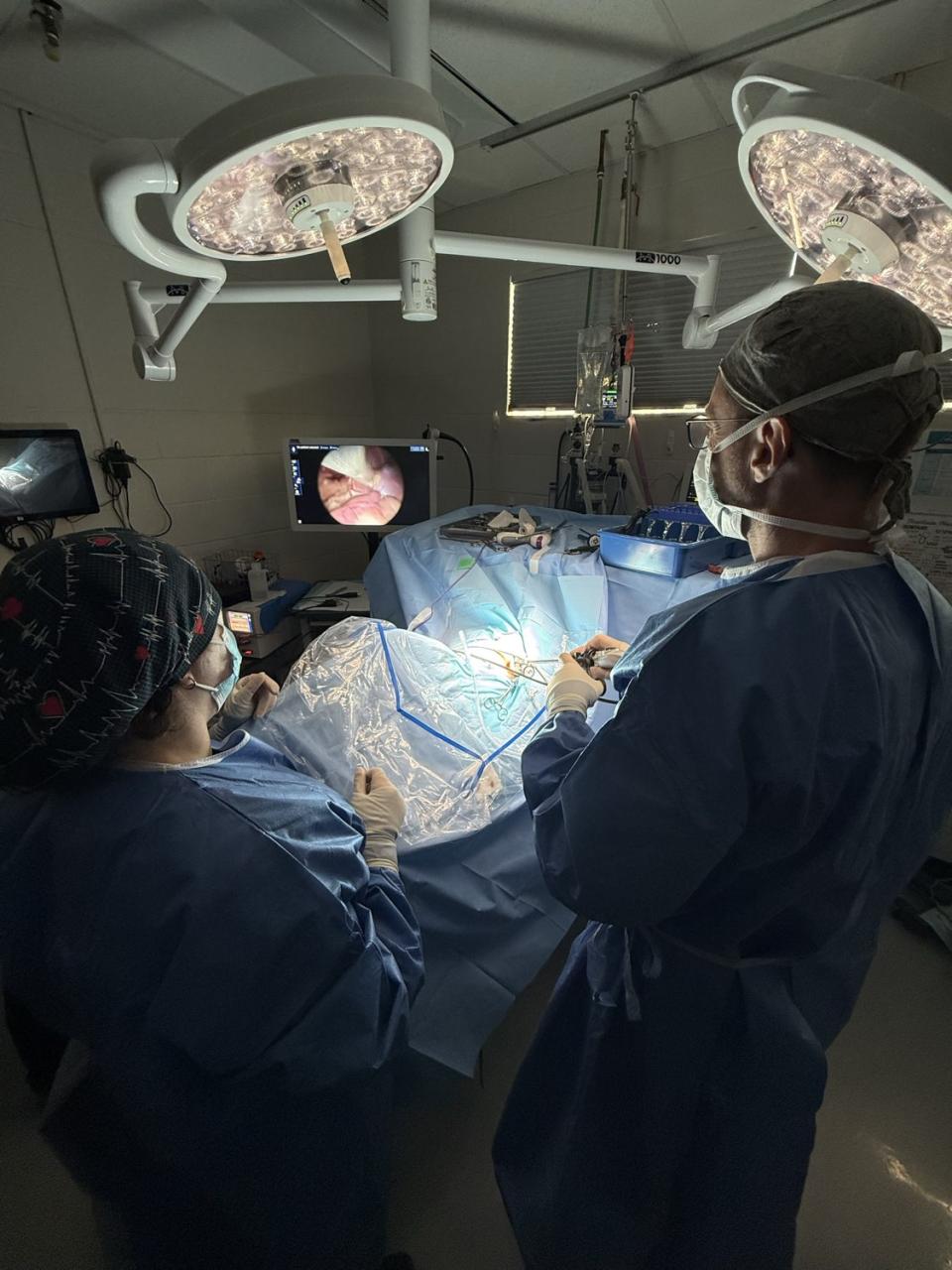 Cascade veterinary surgical team performing a laparoscopic procedure