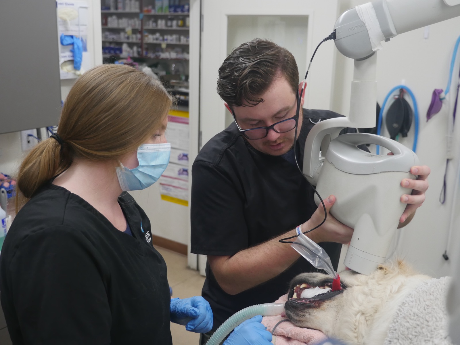 Cole Godfrey, LVT, sets up for dental X-rays alongside Kenzie.