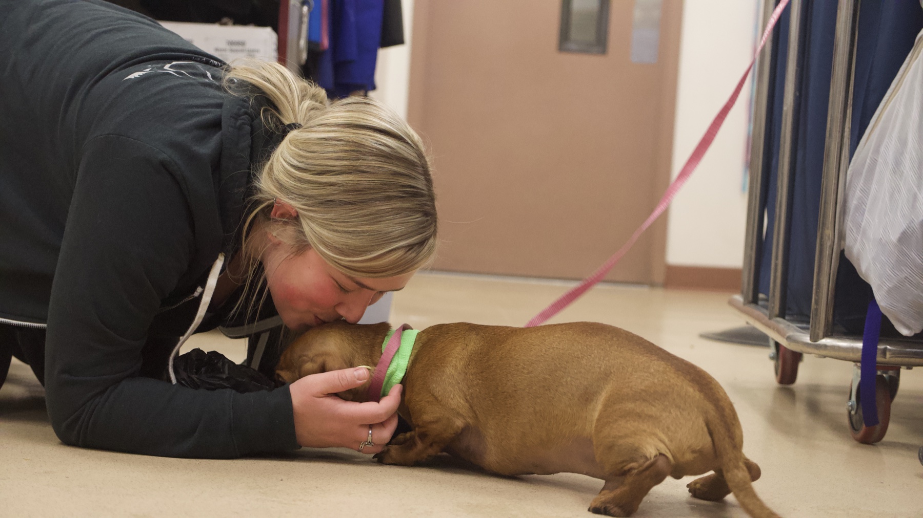 Sabrina Fitzgerald kneeling to comfort a small puppy inside Cascade Veterinary Clinics.