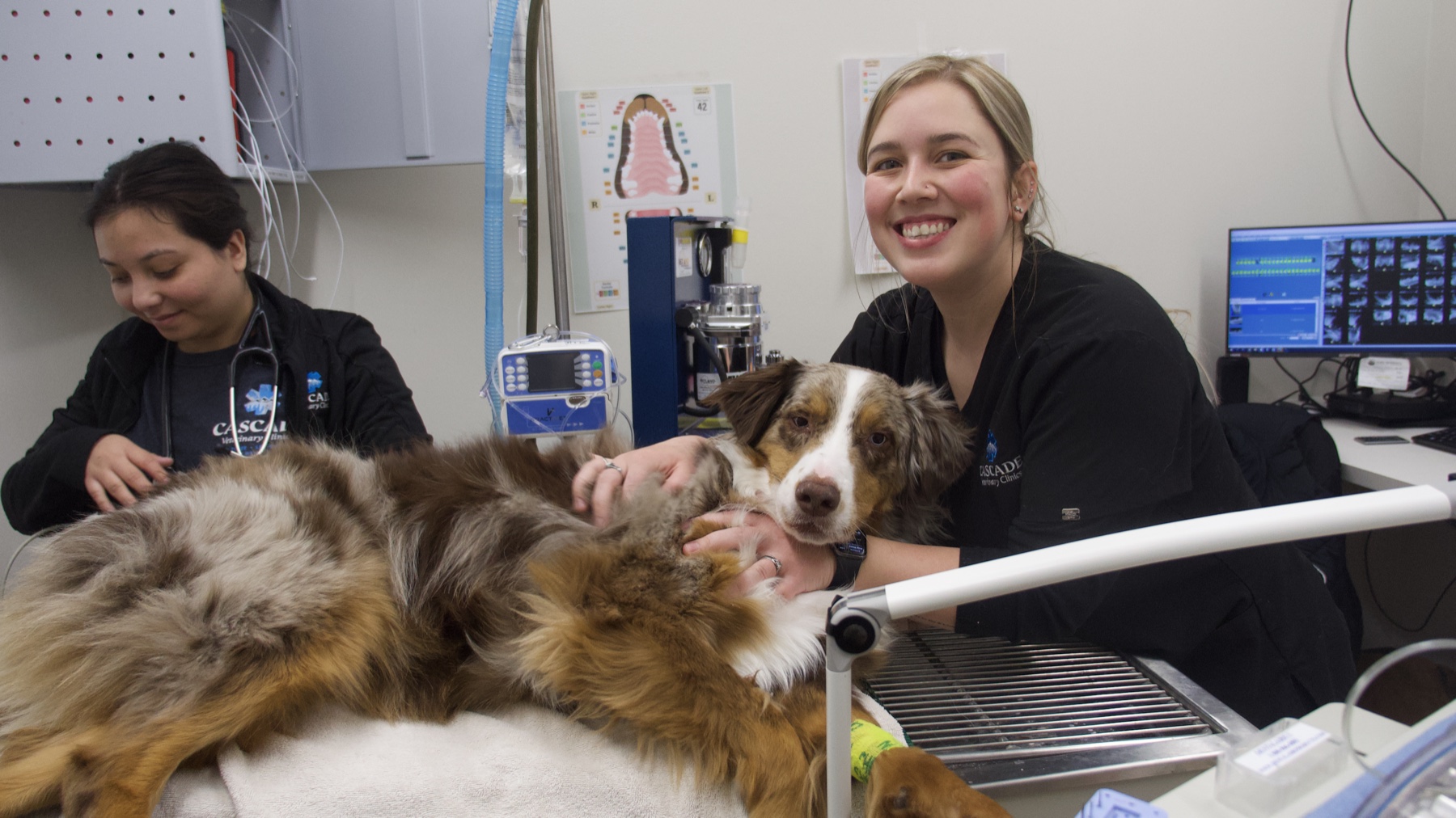 Sabrina Fitzgerald smiling while helping care for a dog alongside a Cascade Veterinary Clinics teammate.